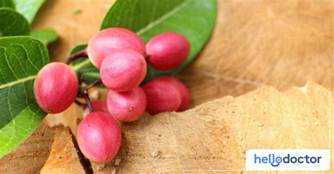 pagkaubos ng fruit tea tite naman ni boyfie ang sinipsip|Benepisyo Ng Miracle Fruit Sa Kalusugan, Anu.